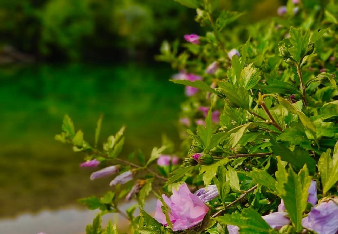 Fattoria a Pribanjci - River House Val Gorski kotar